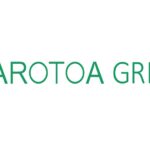 Karotoa Green logo with stylized leaf inspired K icon and eco friendly branding design